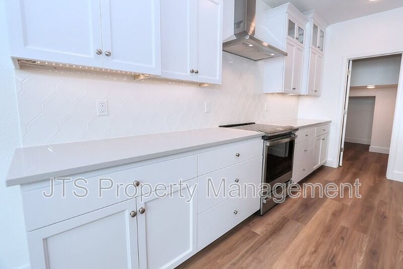 Incredible Solar new construction home in Anatolia For Rent! property image