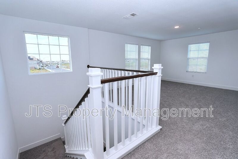 Incredible Solar new construction home in Anatolia For Rent! property image