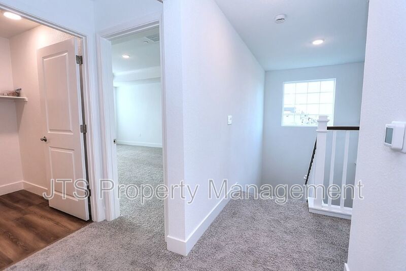 Incredible Solar new construction home in Anatolia For Rent! property image