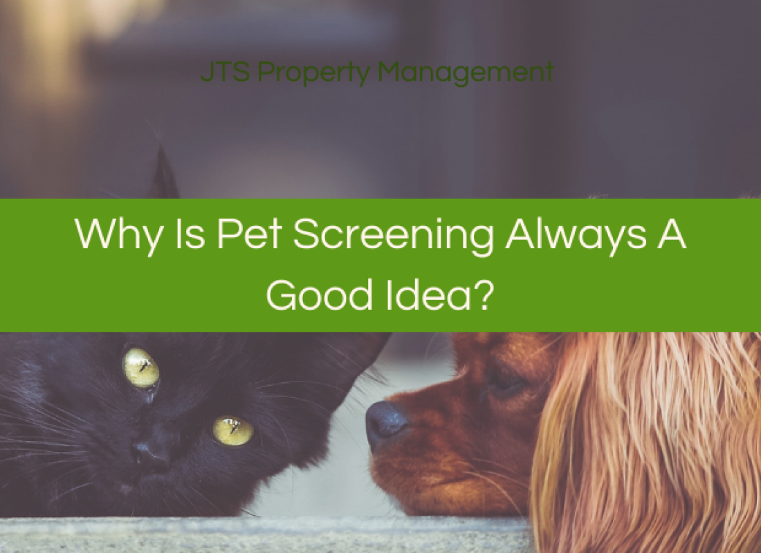 Why Is Pet Screening Always A Good Idea?