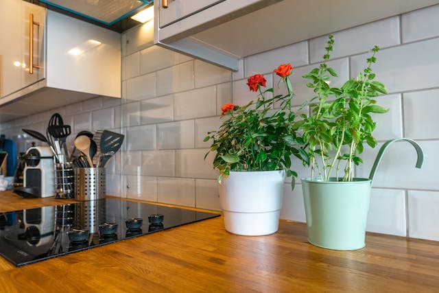 A clean kitchen counter with two potted plants on it.
